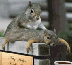 老祖宗养生十二式,养生四宝锻炼方法