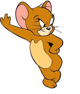 发动机舱进老鼠有什么风险,如何避免发动机舱进老鼠