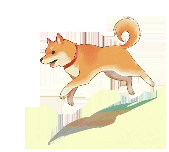 天气热宠物怎么样养好,天气热了宠物应该关注什么