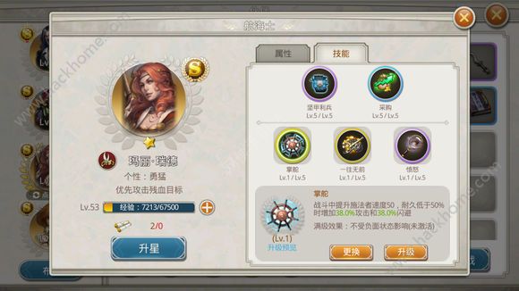 全民大航海觉醒,全民大航海直播