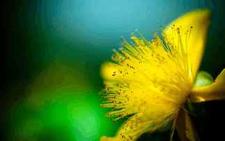 教师资格证普通话多音字,教师考试普通话真题读多音节