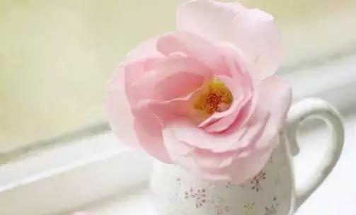 母亲生病散文,关于生病的伤感散文