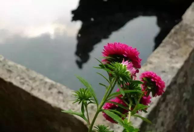 母亲生病散文,关于生病的伤感散文