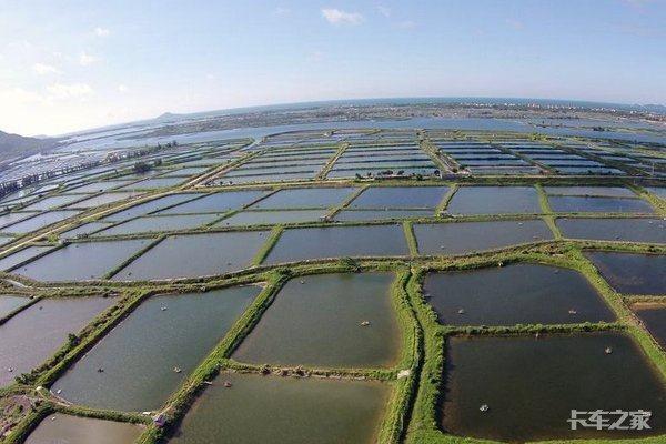 稍有不慎损失十几万资深卡友讲诉活鱼运输