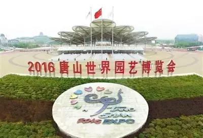 首届华北地区柴犬联合展,柴犬展