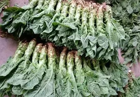 2016-2018年农产品市场需求,2024农产品市场数据分析报告