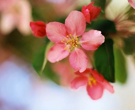 正能量的图片配文字励志,哲理人生经典语录文字图片