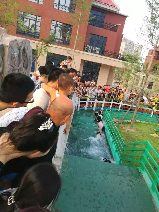 厦门灵玲国际马戏城大不大,五一厦门灵玲国际马戏