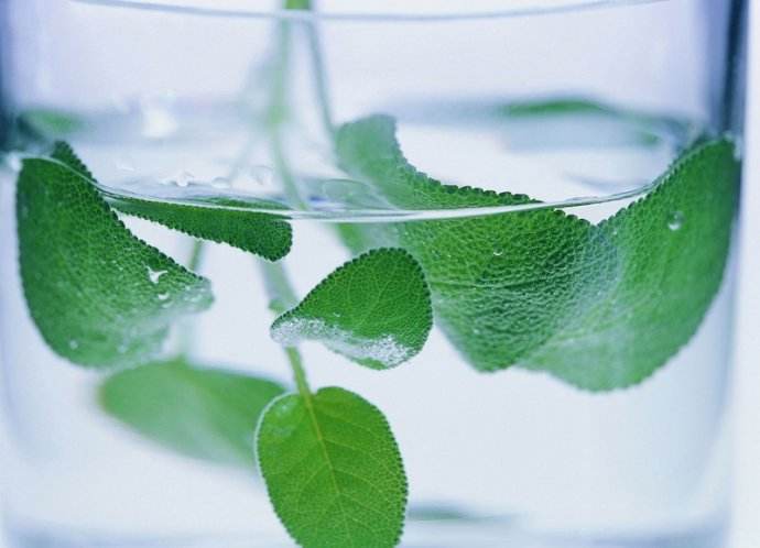 老年人突然鼻血流不停,鼻血流不停是什么原因