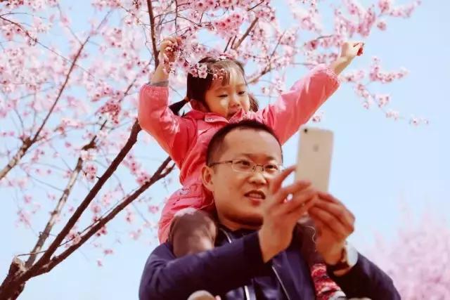 摄友作品点评,4月拍照