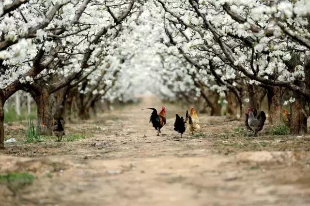 摄友作品点评,4月拍照