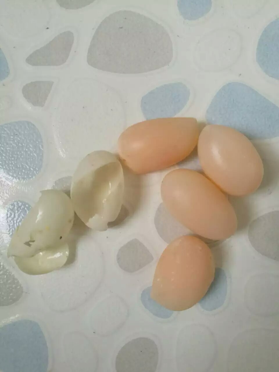 喂养巴西龟的危害,巴西龟不喂养肥肉