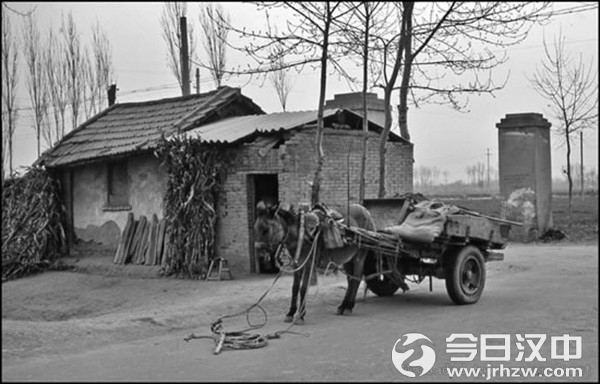 有爱就有家原唱视频,有爱就有家完整视频