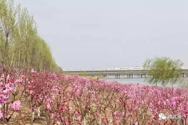 五一活动游玩,天天活动丰富多彩