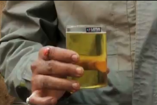 印度人把牛当成饮料喝,印度人用牛尿做食物