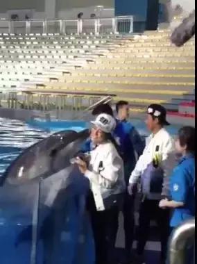 跑男大连完整版,跑男录制行程第三次