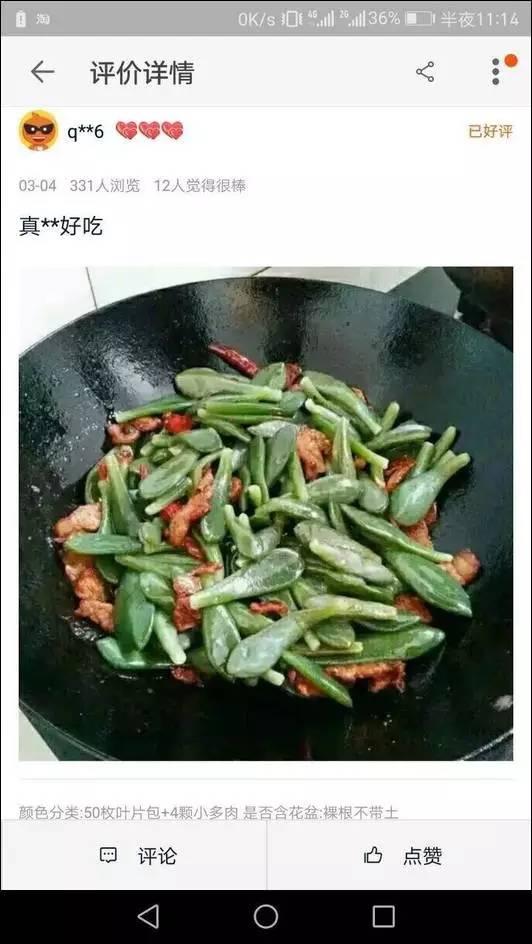 逆天了中国吃货！多肉植物炒肉吃！