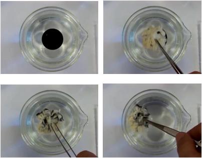 杨柳絮有哪些缺点不够及危害,杨柳絮是怎么造成的