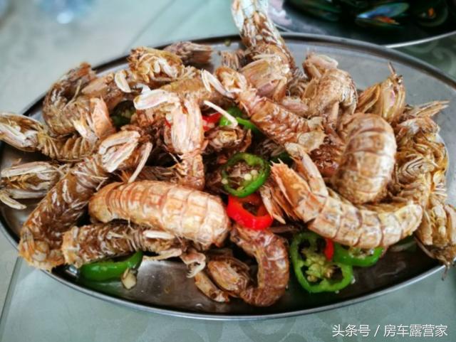 浪琴湾露营旅游攻略,浪琴湾露营玩法