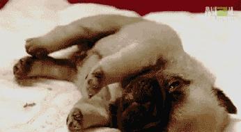 人在睡觉时为什么会突然抖动一下？真相竟是……