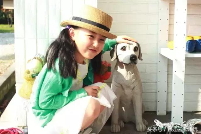 台湾花莲云顶民宿,台湾高雄花莲民宿