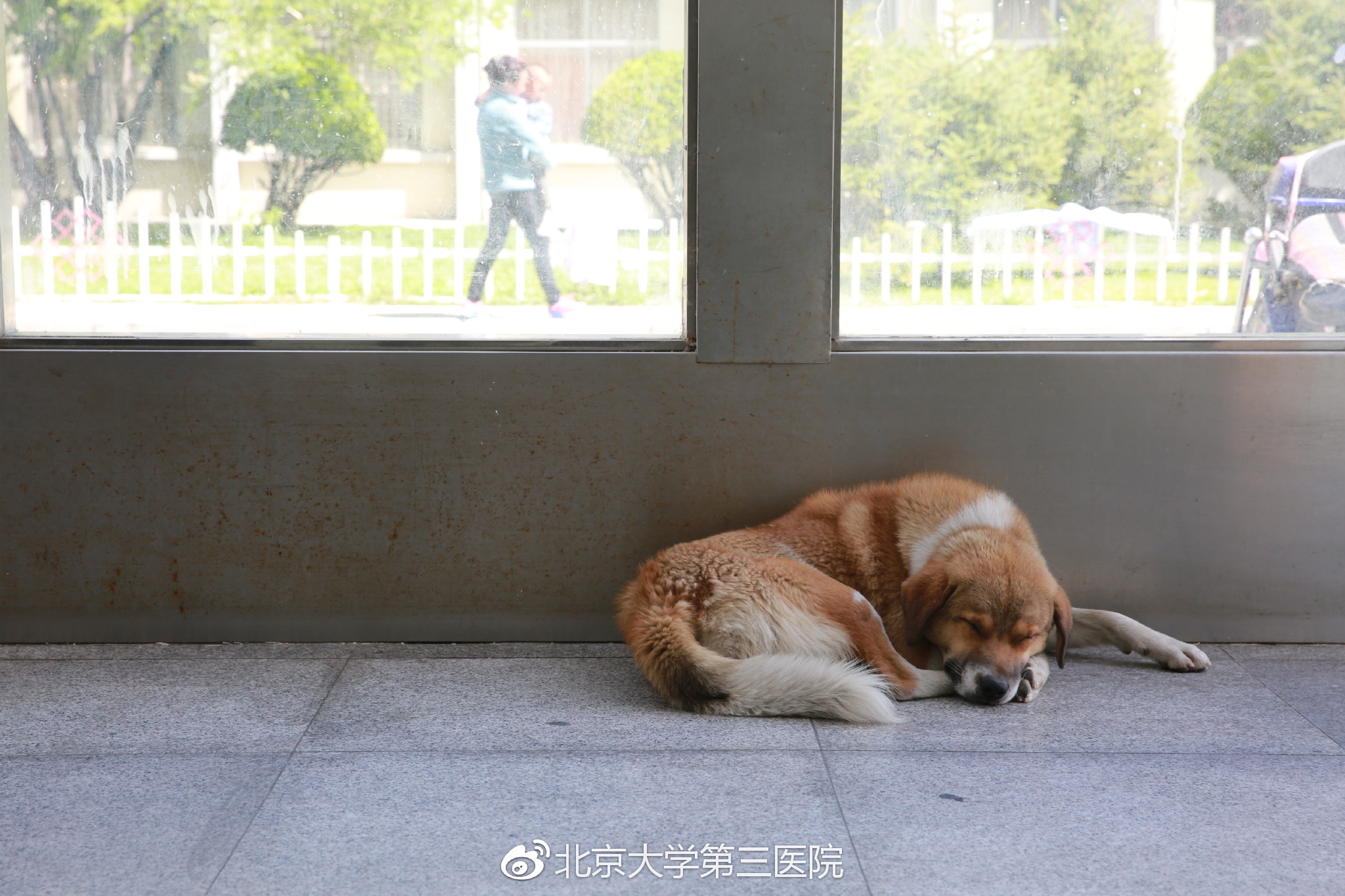 北医三院迟洪滨简介,北医三院迟洪滨的口碑怎么样