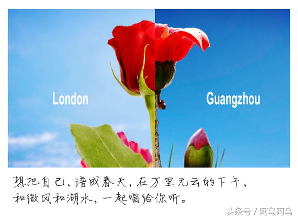 酷似汤唯的女生,神似汤唯的女明星