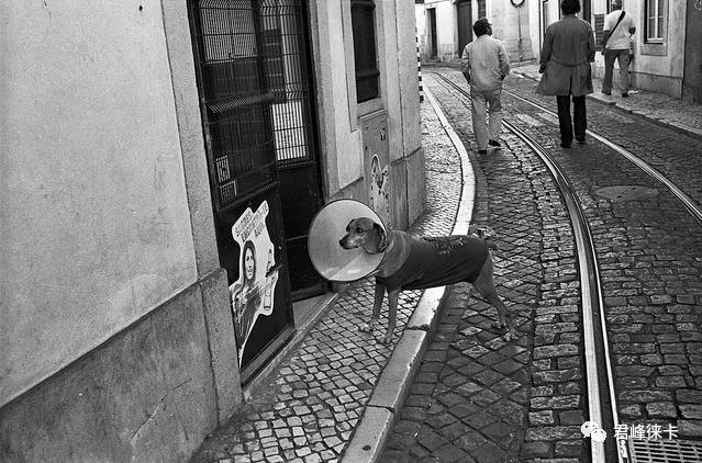 哪台徕卡最便宜又有德味,徕卡德味最浓的镜头