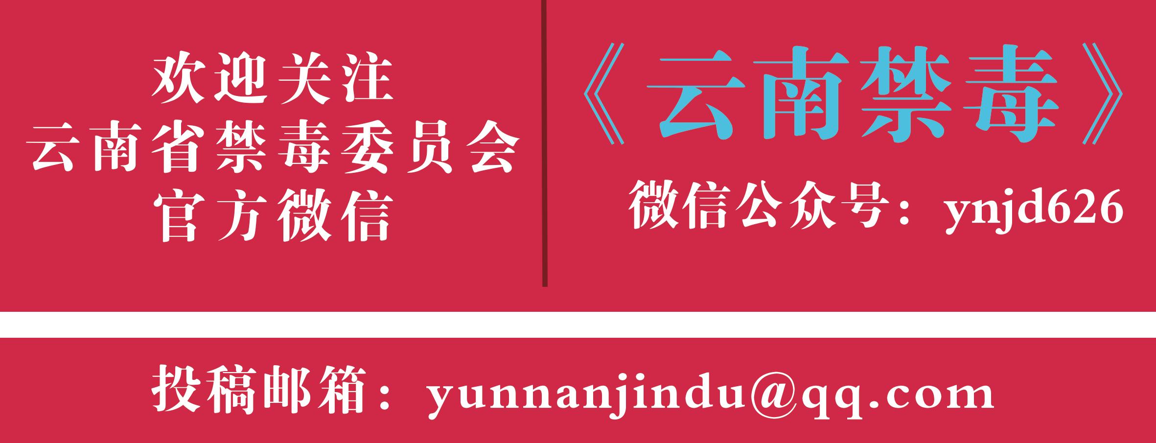 临沧重大缉毒案件,临沧侦破一起特大毒品案