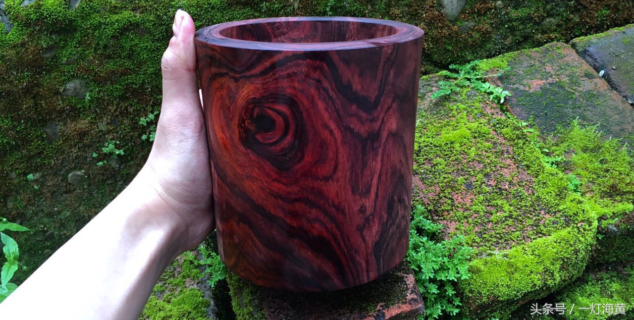 降香“有毒”，爱上海黄就是条“不归路”，带您领略真正在海黄