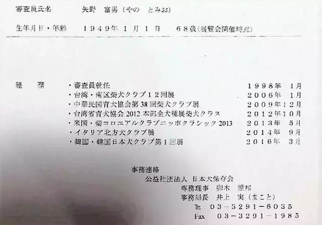 首届华北地区柴犬联合展,柴犬展