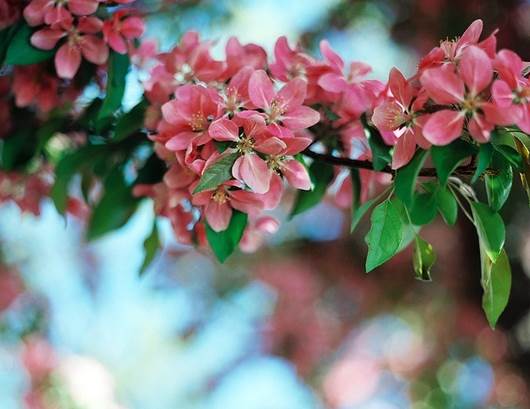 正能量的图片配文字励志,哲理人生经典语录文字图片