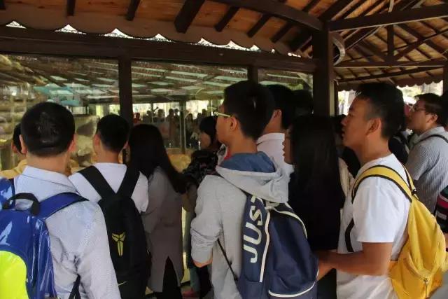 厦门灵玲国际马戏城大不大,五一厦门灵玲国际马戏