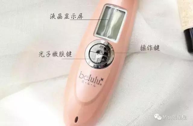 绉戝绉嶈崏,绉戝鎶よ偆鐩茬洰绉嶈崏