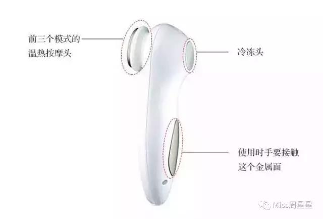 绉戝绉嶈崏,绉戝鎶よ偆鐩茬洰绉嶈崏