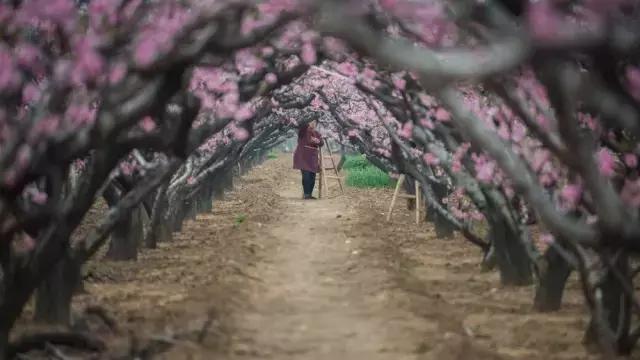 摄友作品点评,4月拍照