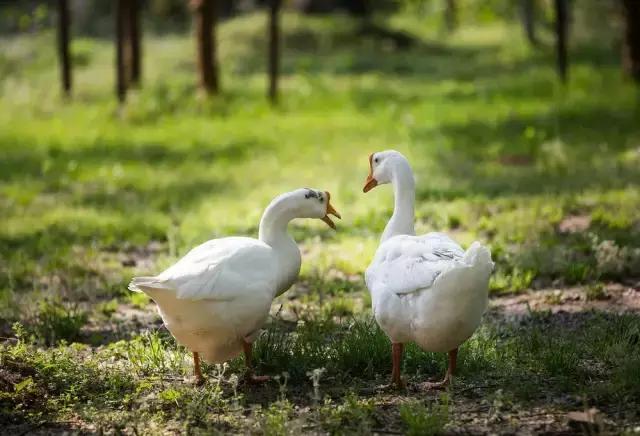 摄友作品点评,4月拍照