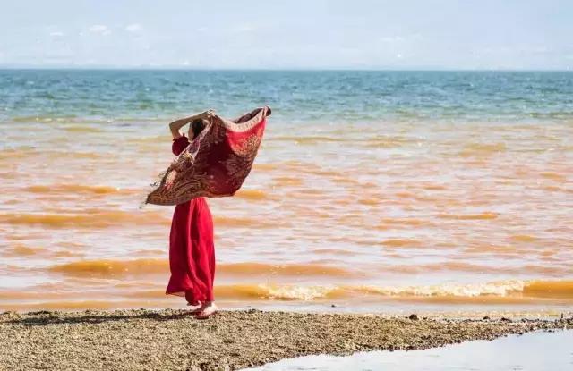 摄友作品点评,4月拍照