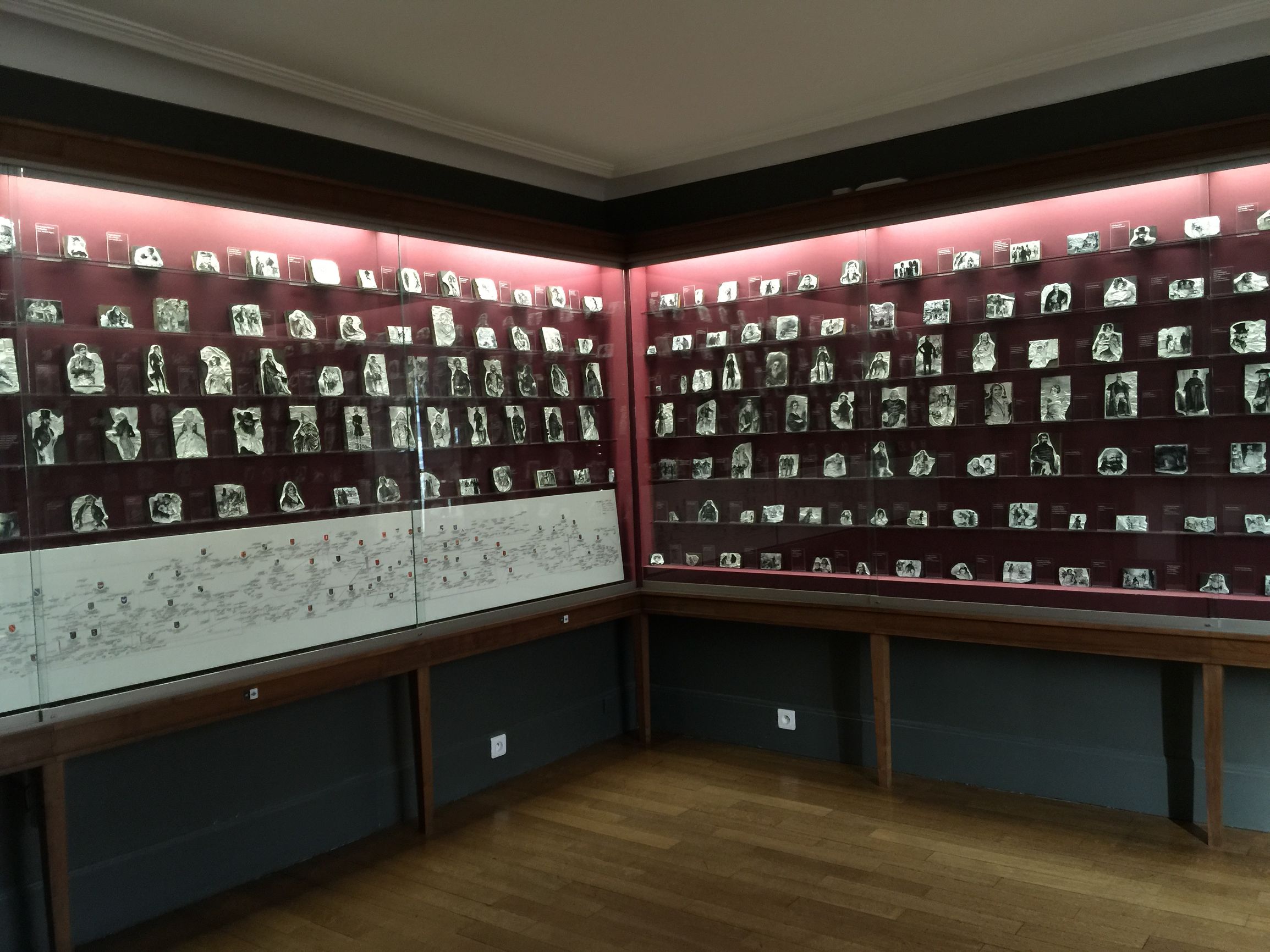 巴尔扎克的黄玫瑰正在热烈开放