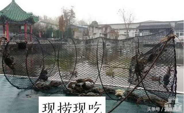 京津冀旅游农家院攻略,河北农家乐旅游攻略