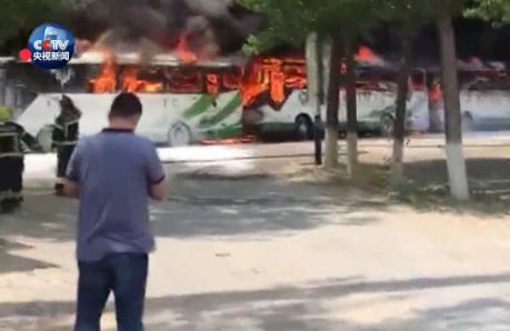 杨柳絮有哪些缺点不够及危害,杨柳絮是怎么造成的