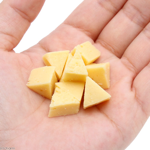 家有喵哥汪弟，体验好物帮你挑