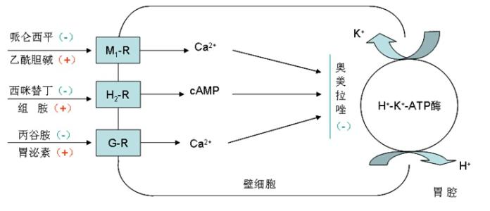 慢性胃炎看中医还是西医,慢性胃炎中医最佳治疗方法