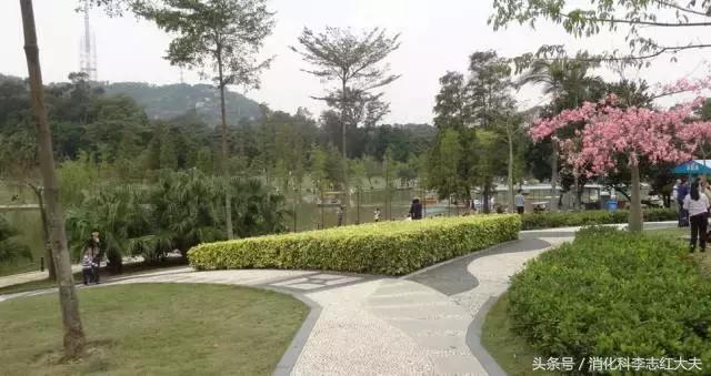 胃病久治不愈是脾虚吗,胃病食管裂孔疝想做手术