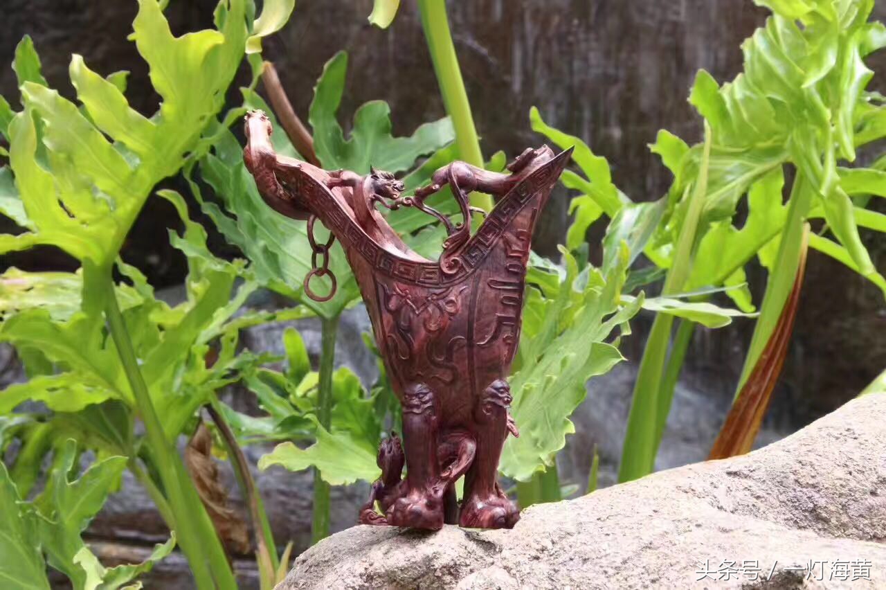 降香“有毒”，爱上海黄就是条“不归路”，带您领略真正在海黄