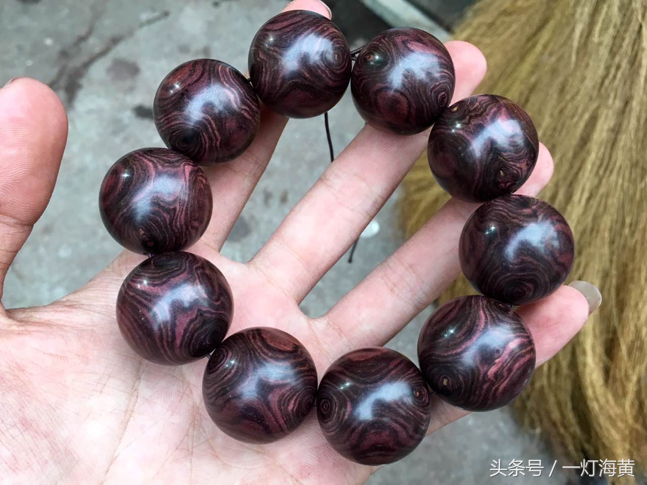 降香“有毒”，爱上海黄就是条“不归路”，带您领略真正在海黄