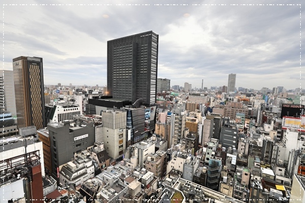 新宿比较好的酒店,新宿王子酒店和新宿华盛顿哪个好