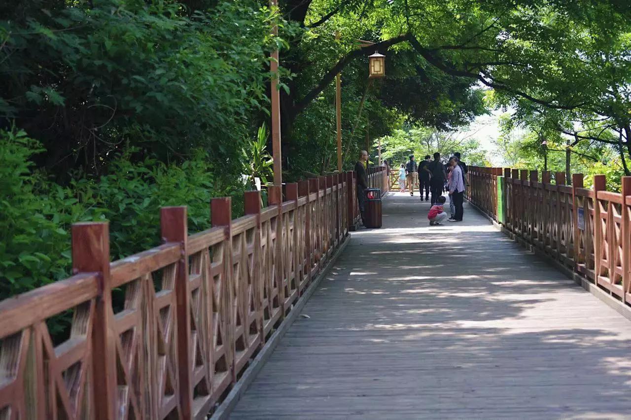 来龙岩必吃的清汤粉,龙岩最好吃的牛肉粉