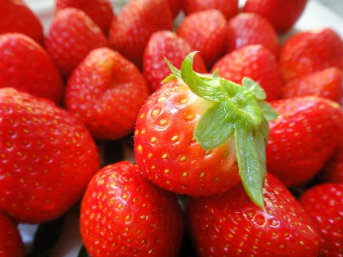 钓鱼时如何选用饵料味型,钓鱼饵料味型重要还是态势重要