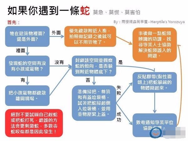 大家野外遇蛇一定要远离关注安全,野外遇到蛇应该站着不动还是跑